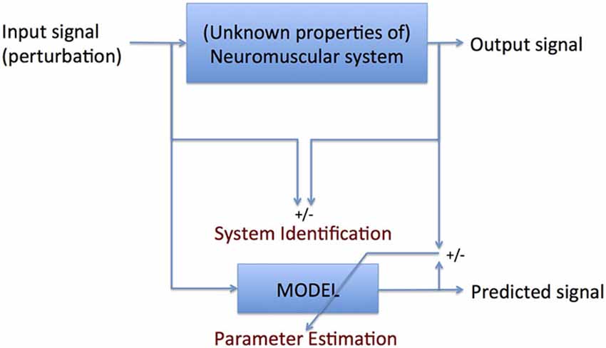 multiple input multiple output mimo