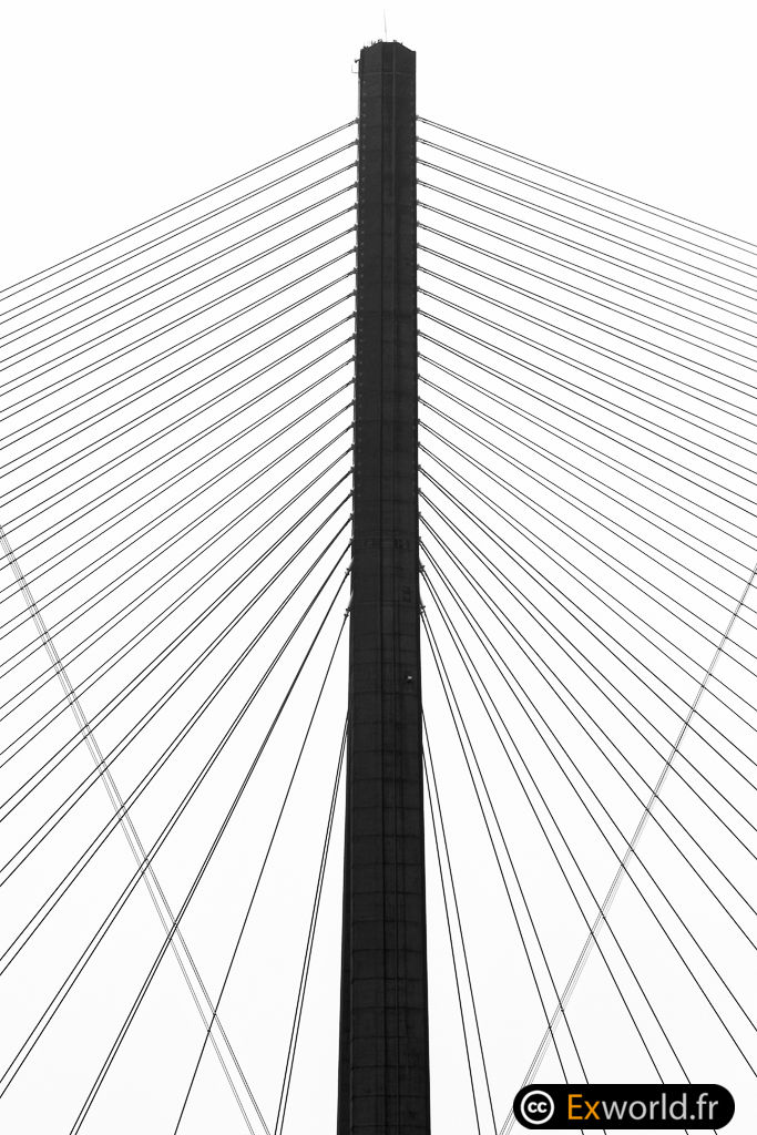 connect laptop internet cable