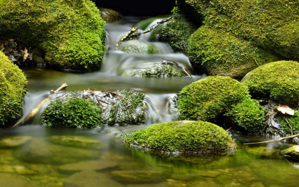 telecharger logiciel wifi extender orange